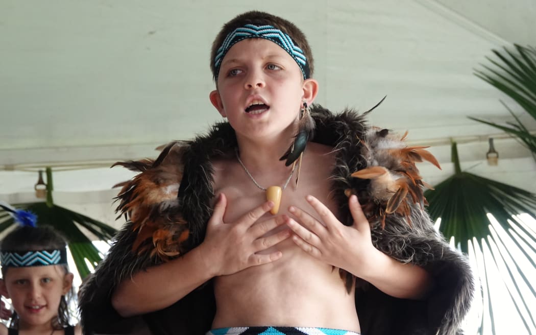 Ngā Tupuranga, Years 3-4, Kerikeri Primary School.