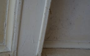 Mould in Diane Taqvi's house.