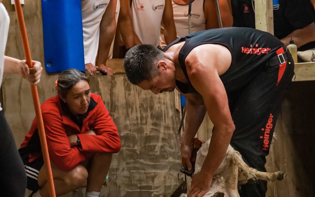 A bit of professional advice as Simon  Goss's record-breaking progress is watched by sister, women's rugby star an former shearer Sarah Hirini. He shore 715 lambs in eight hours to help set a two-stand record of 1410 on the home farm in Mangamahu Valley, northeast of Whanganui, on Wednesday (January 4). Photo / Ariana Aspinall