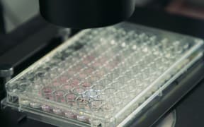 Laboratory work at Opo Bio.
