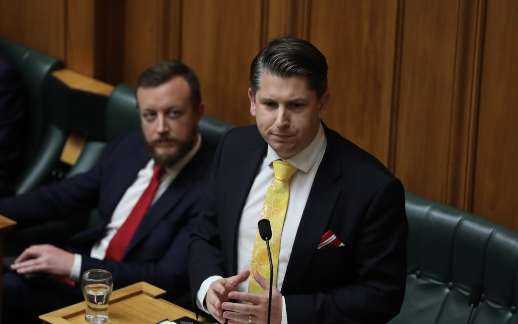 VNP Labour MP Michael Wood in the House