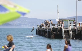 Summer in Eastbourne, Wellington.