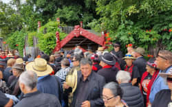 Thousands arriving at Tūrangawaewae Marae for nationwide hui, on 20 January, 2024.