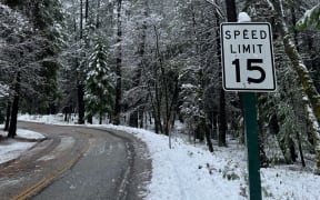 In some ways, the pandemic feels like a world covered with snow, Nik Dirga says.
