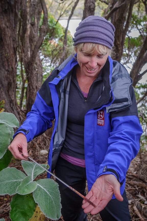 Jocelyn Turnbull analyses air samples taken from the world's loneliest tree.