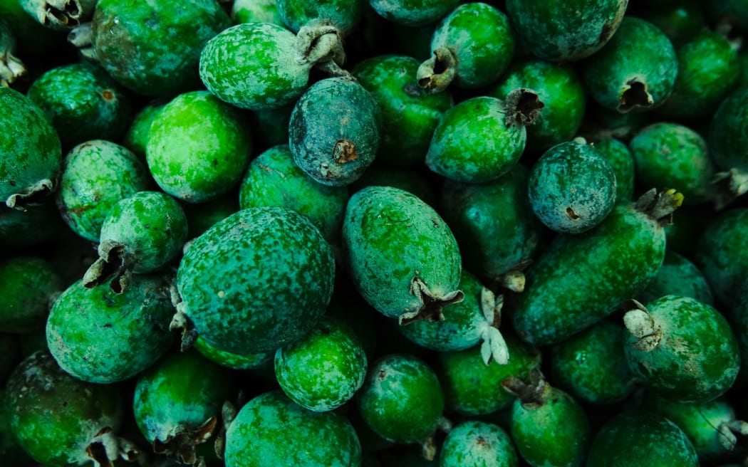 A screenful of feijoas