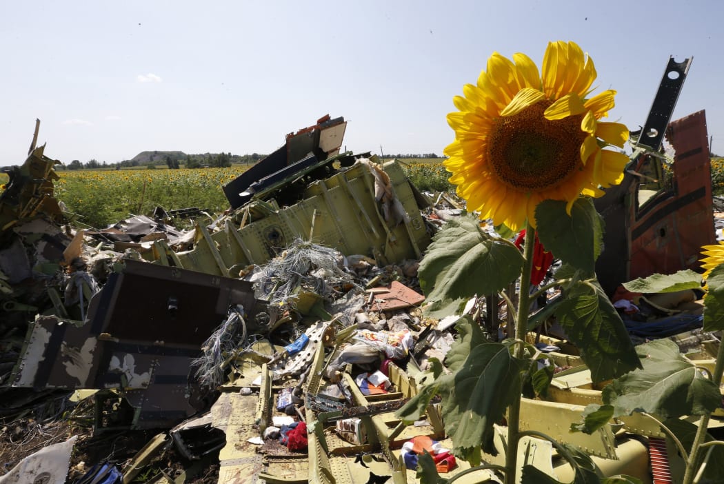 Wreckage and debris at one of the crash sites of Malaysia Airlines Flight MH17.