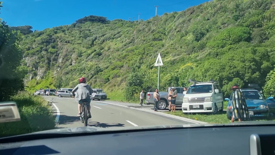 Protesters' vehicles are seen parked alongside the ring road near the northern end of the Miramar Peninsula on 3 March, 2022, a day after the protest occupation at Parliament grounds was quashed.