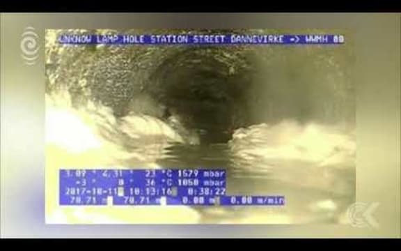 Rat filled sinkhole prompts greasy dishes warning: RNZ Checkpoint