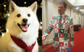 Ghost the Dog or Tim the MP? You be the judge.