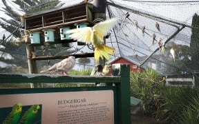 Rotokawau Virginia Lake's bird aviary, Whanganui