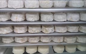 cheese
