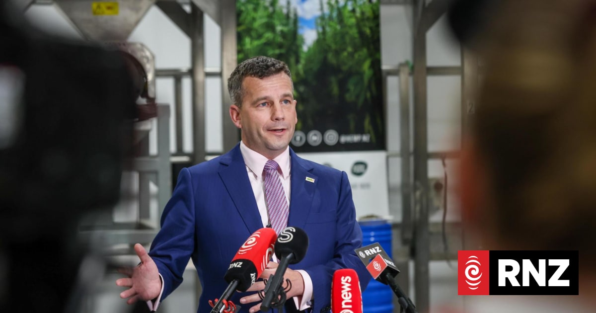 David Seymour promises to reignite Treaty principles debate in 2026 | RNZ