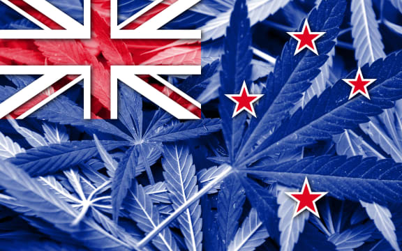 New Zealand Flag on cannabis background. Drug policy. Legalization of marijuana