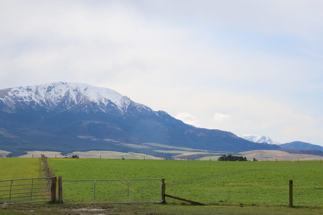 Looking towards Mount Somers from a hilltop paddock