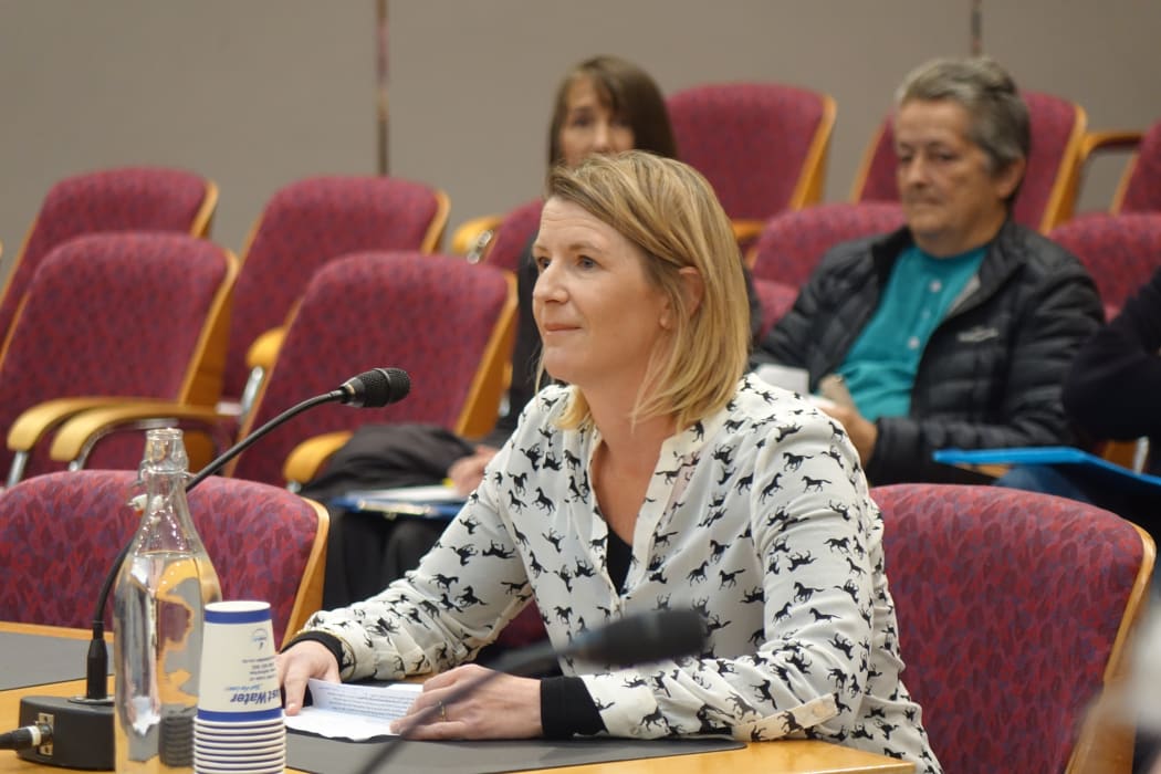 New Plymouth resident Allison Tscheuschler making a submission at the council on the sale of  Peringa Reserve.