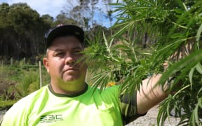 Porourangi Taiwhwhirangi of the East Coast Cannabis company say people look for a fix and if they can’t get cannabis, they could go for meth.
