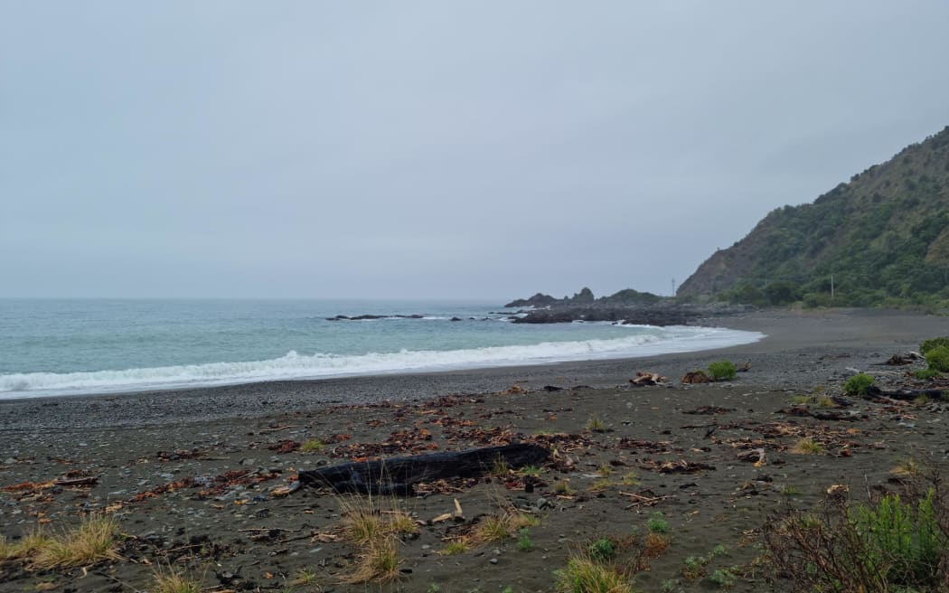 Goose Bay near Kaikōura.
