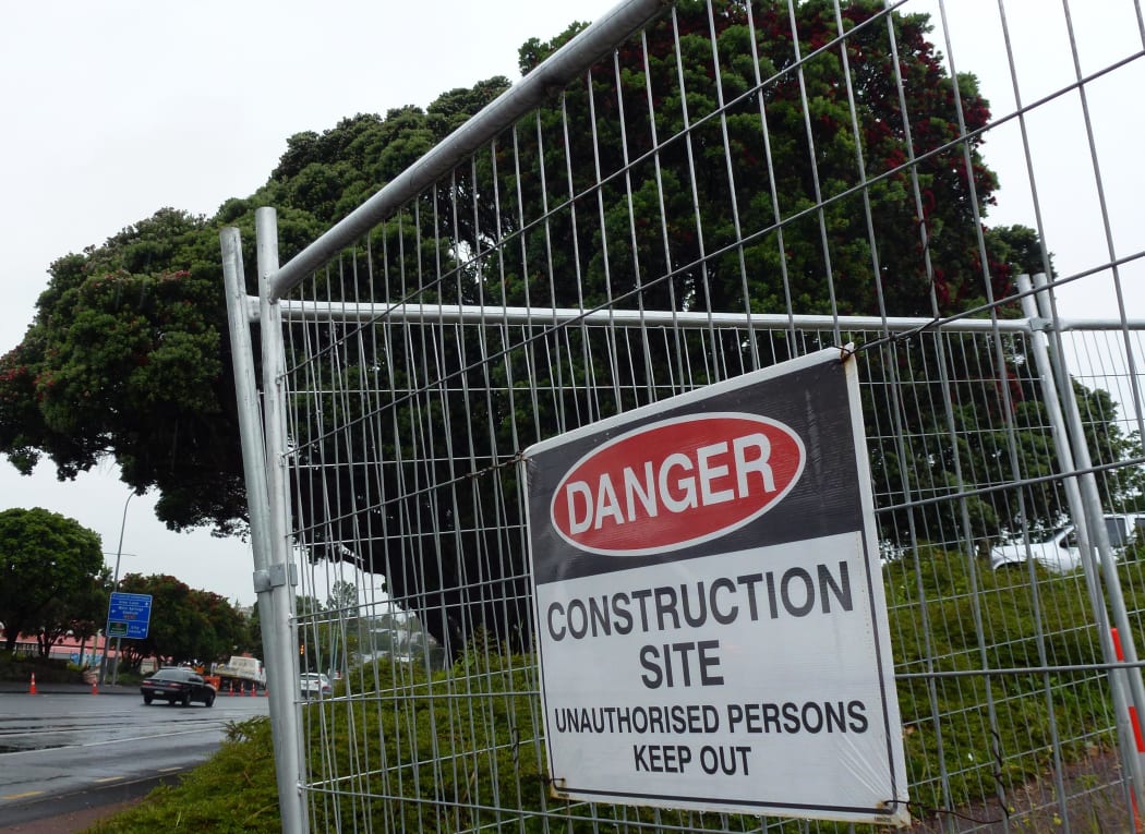 The under-threat pohutukawa on Great North Road, near Western Springs and St Lukes Road, in Auckland.