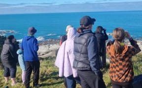 they had 62 volunteers take part and more than 90 visitors at the spotting hill from which they had predominately tracked the whales