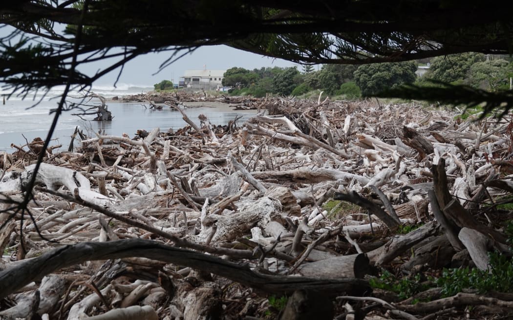 The beach at Ākitio is covered in logs and wood.