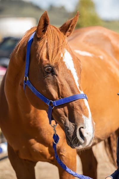 Seize the Moment at AnnaRehab.