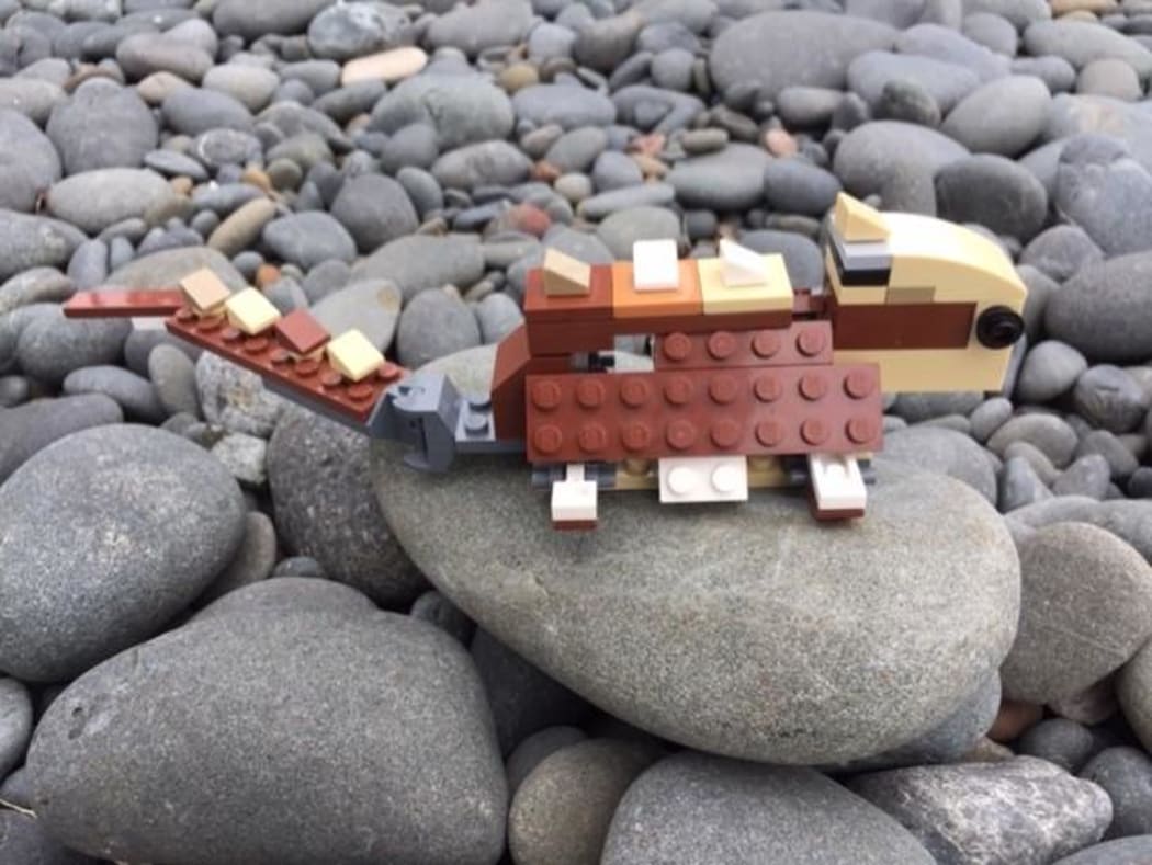 Hinemaia's (Age 9) Tuatara - "His name is Mr Turu, he’s 99 years old, and is sheltering from Covid in the rock garden at our house."