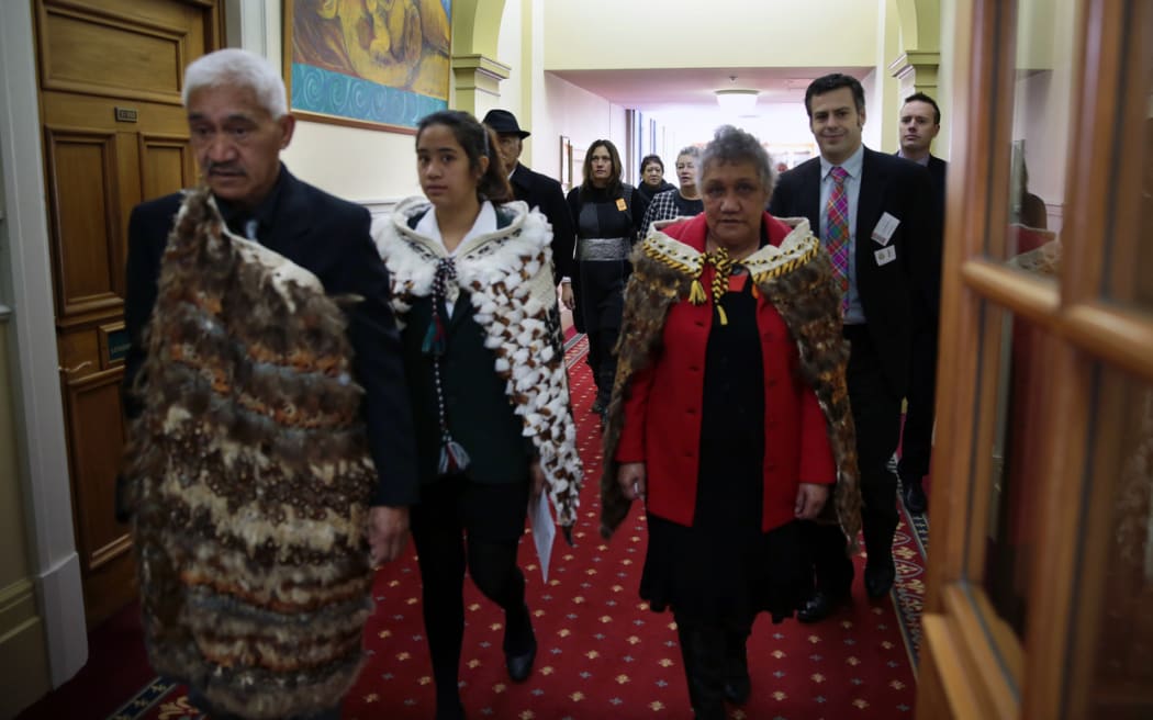 Tūhoe arriving for the final reading of the iwi's Treaty Settlement in Parliament, in 2014. Tūhoe's Treaty settlement was one of the focuses of the recent audit.