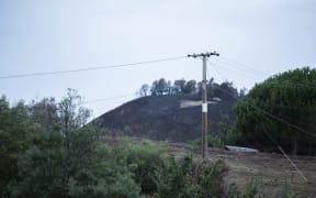 Power lines in the Hawkes Bay area.