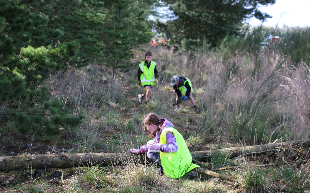 The Eyrewell skink habitat restoration school day
