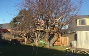 Dunedin City Council ruled the treehouse in a Mosgiel section breached the Building Act.