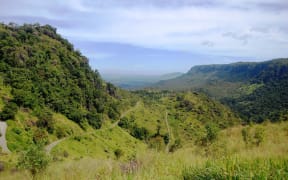 Much of Papua New Guinea is covered in forest.