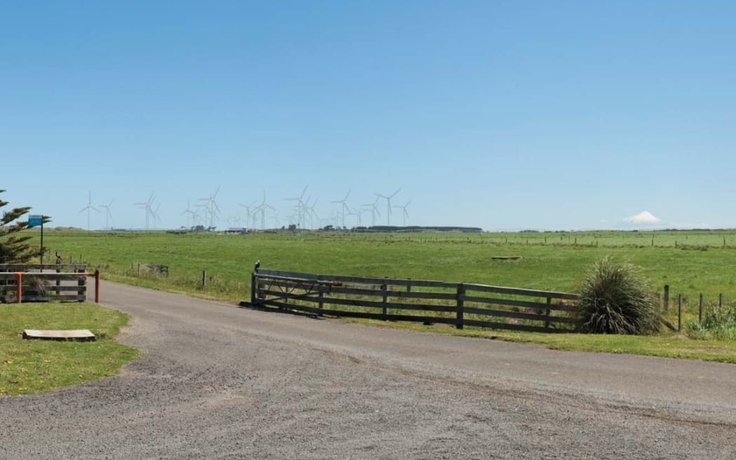 An artist's impression of the area close to the section owned by Frazer Fields.