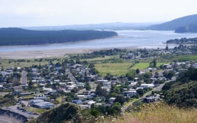 A view of Port Waikato