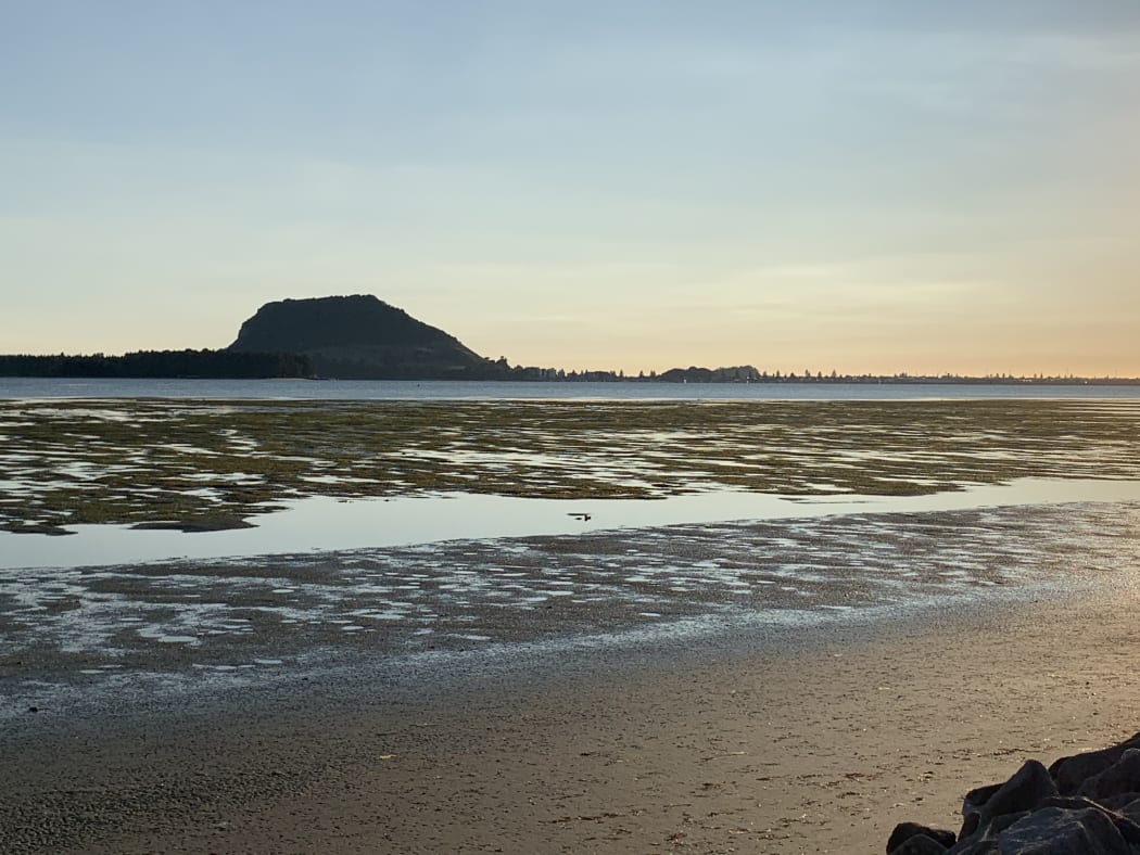 Mauao - Mount Maunganui.