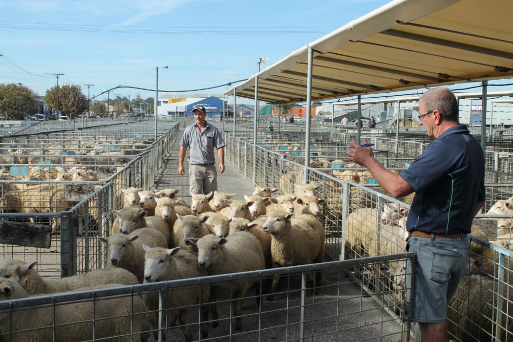 Frankton saleyards, Hamilton