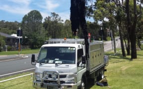 The wet wipes 'fatburg' removed from a sewerage pipe in Eleebana, NSW.