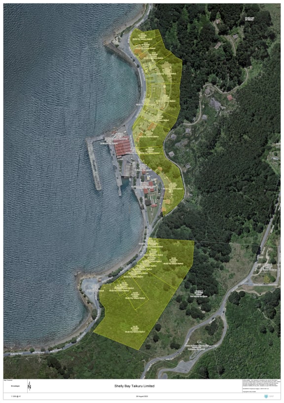 The Shelly Bay area.