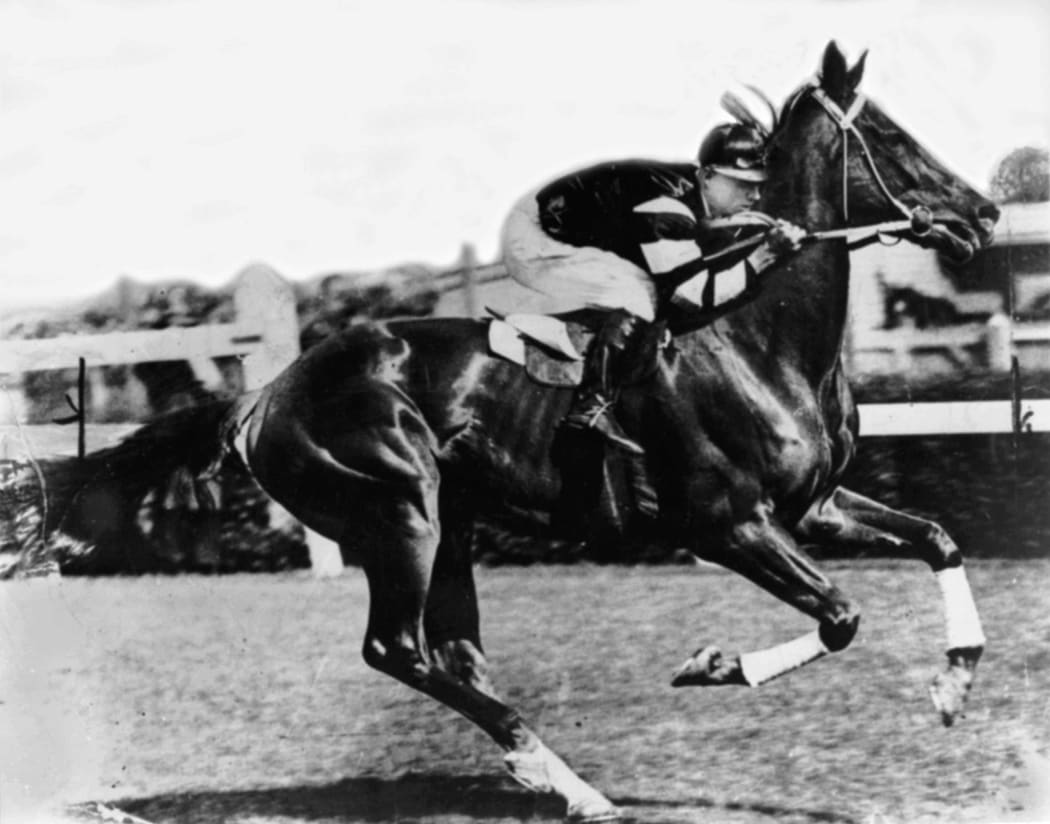 An undated handout photo of legend racehorse Phar Lap.