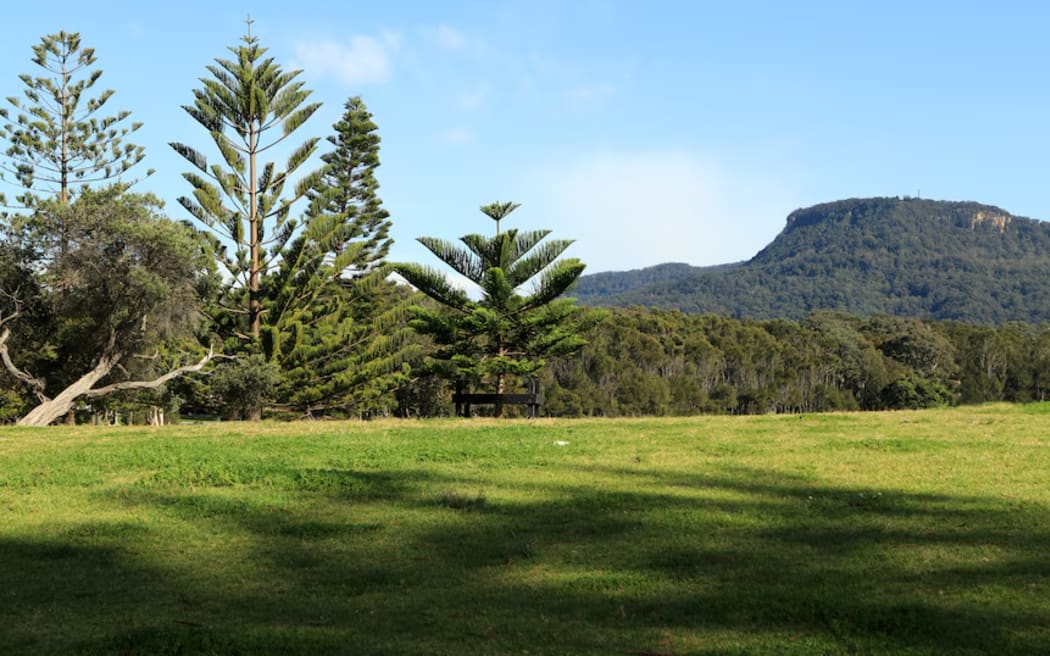 The Illawarra Escarpment, which frames Wollongong, is a popular home for many animals and plant species. (ABC Illawarra: Justin Huntsdale)