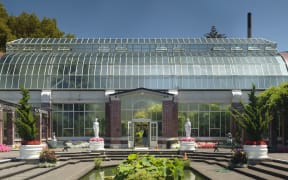 The Auckland Wintergarden in Auckland Domain.