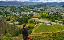 A person looks at the view over Alexandra, in Central Otago, on a sunny day.