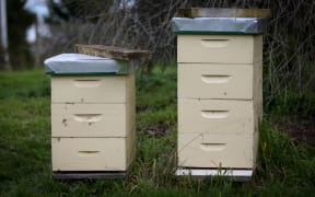 Beehive on an organic farm.
