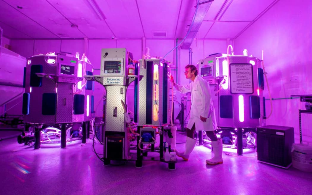 A man in a lab coat and gumboots presses a button on a large metal machine. The room is bathed in purple light and contains other large cylindrical machines.