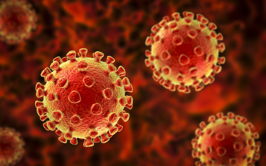 Coronavirus particles, computer illustration.