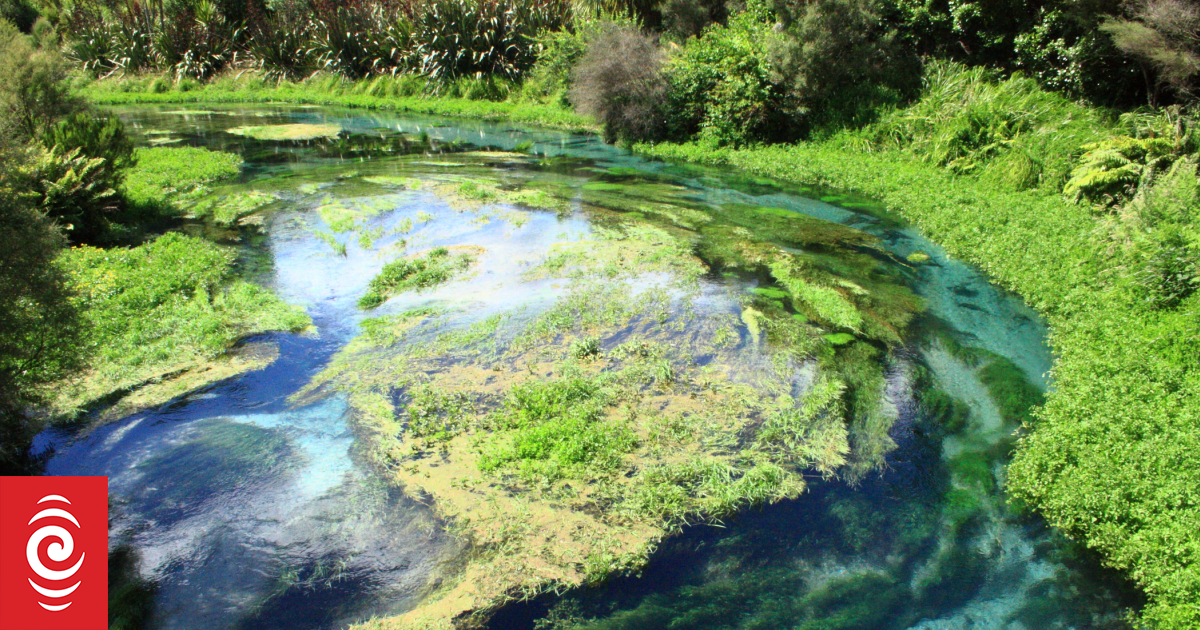 Conservation Minister says Blue Spring not a priority after councillor seeks funds to protect site