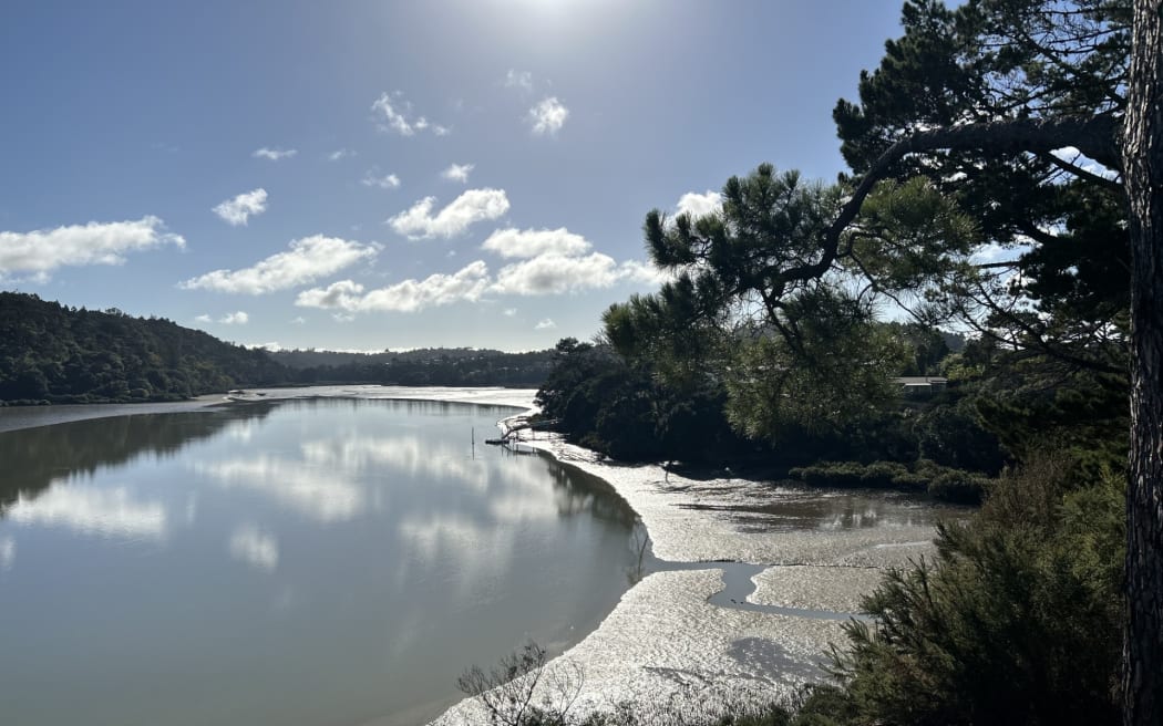 Oruamu estuary