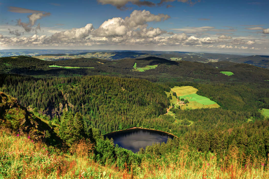 The Black Forest, Germany