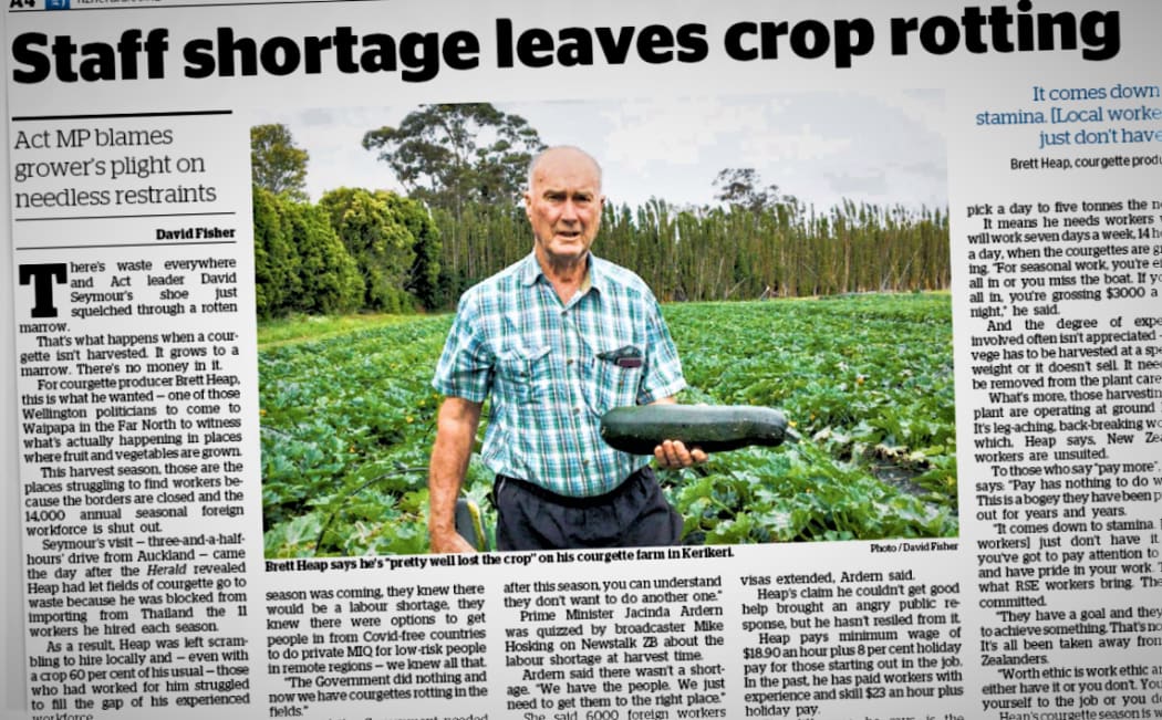 Kerikeri courgette grower Brett Heap in The Herald last Tuesday.