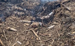 Fire and Emergency crews battle scrub fires in Northland.